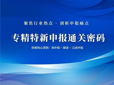 专精特新申报闭环攻略 中小企业专精特新储备策略 专精特新预申报核心逻辑 专精特新材料证据链构建 专精特新申报流程与技巧
