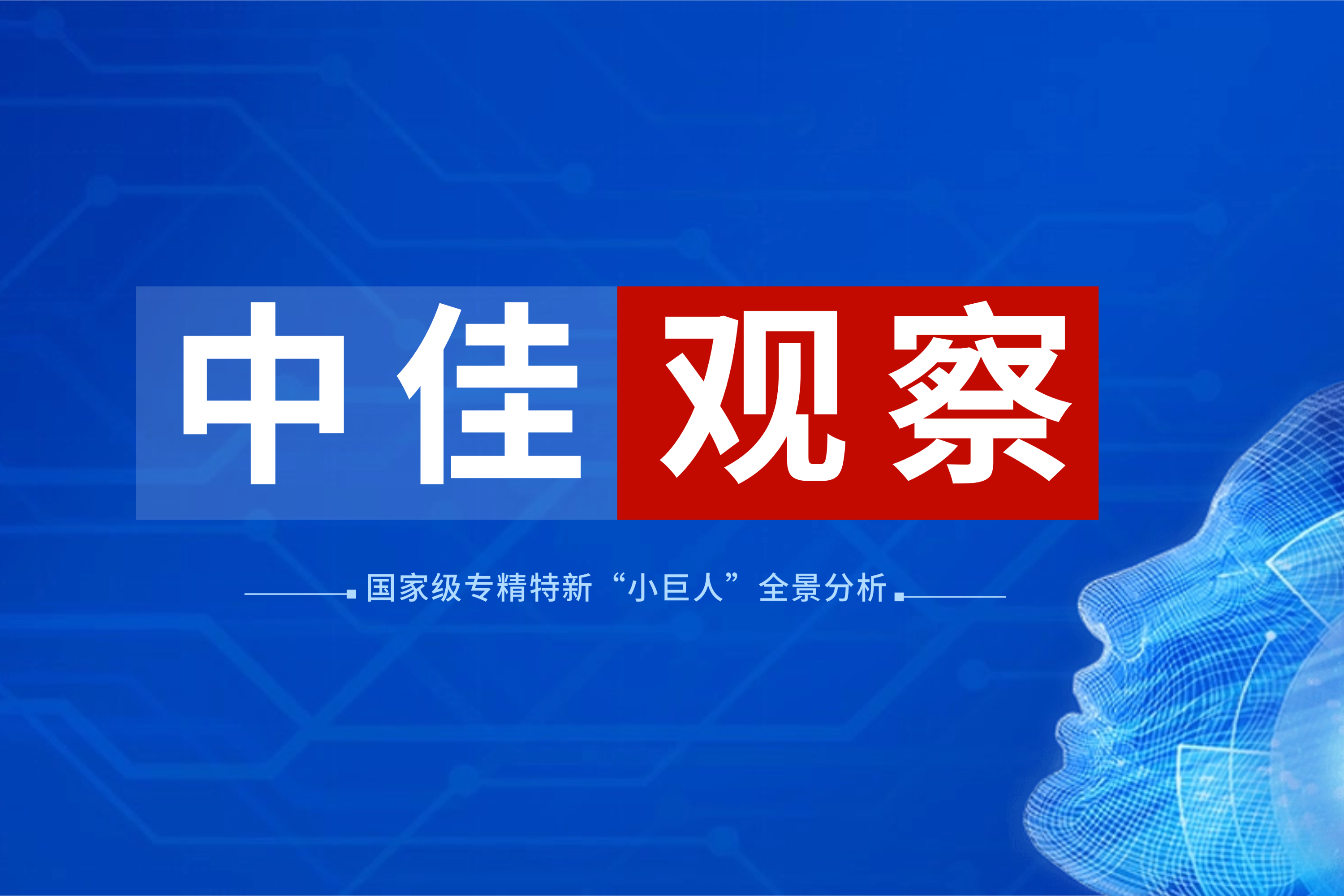 国家级专精特新“小巨人”企业全景分析