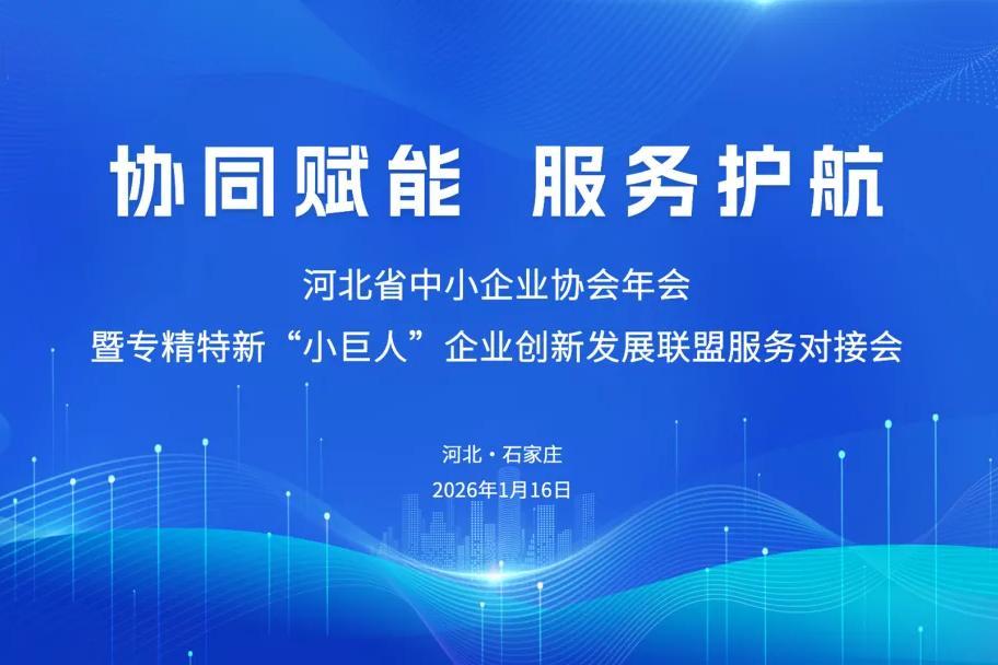 中佳亮相河北省中小企业协会年会，共探高质量发展新路径