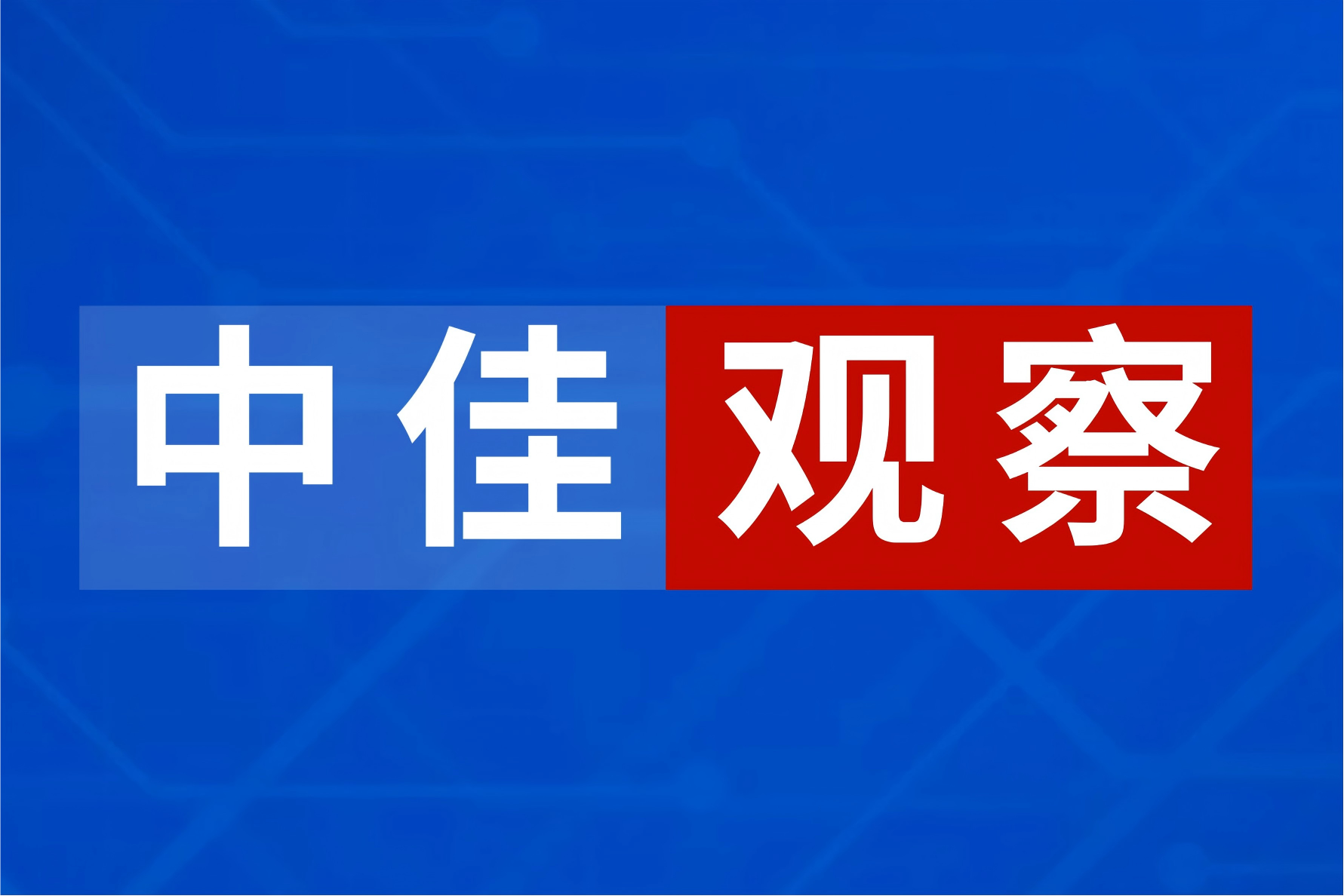 专精特新“小巨人”企业，知识产权布局、数字化转型、专精特新培育、绿色低碳发展，中佳集团