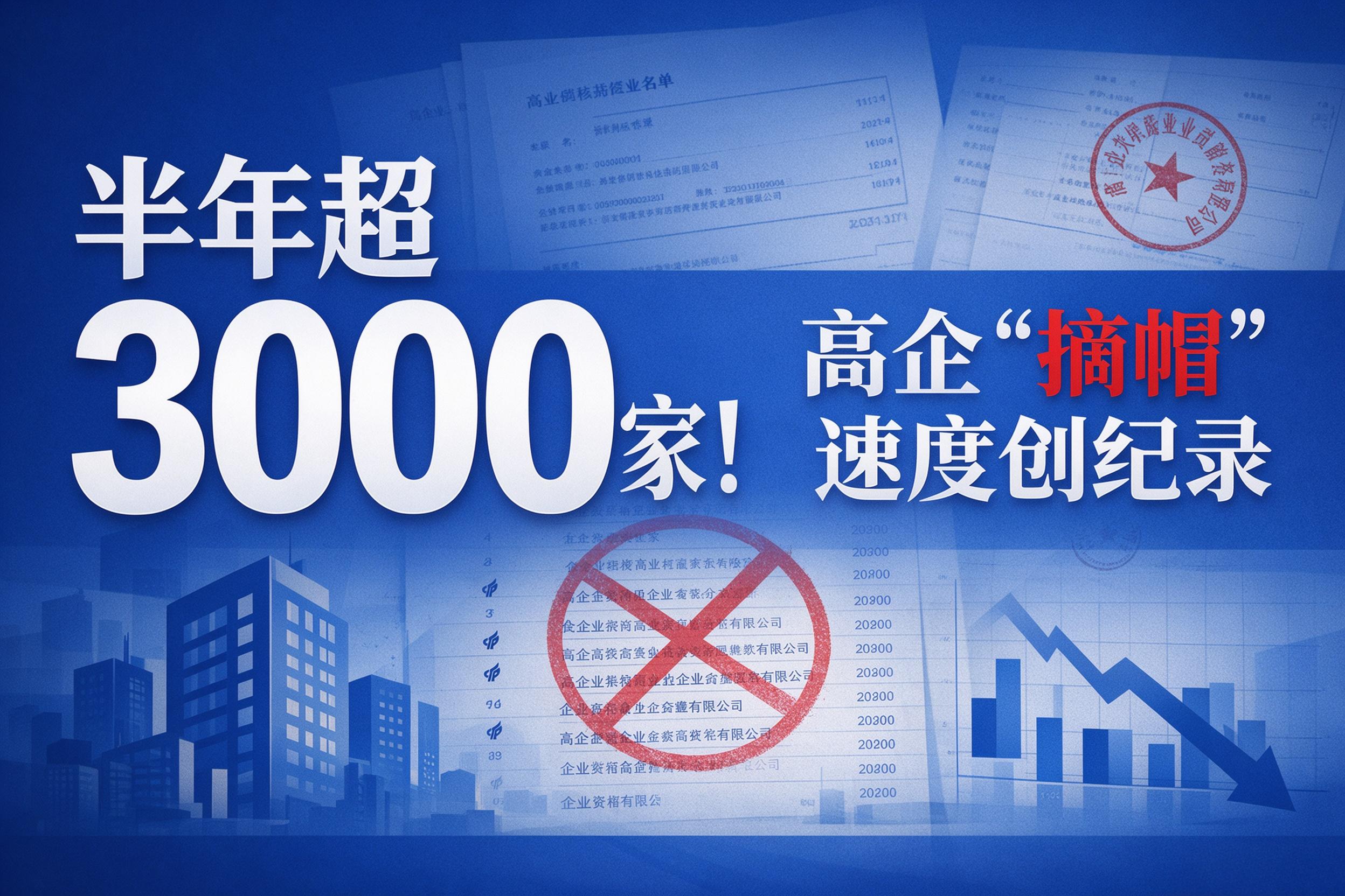 高新技术企业，中佳集团