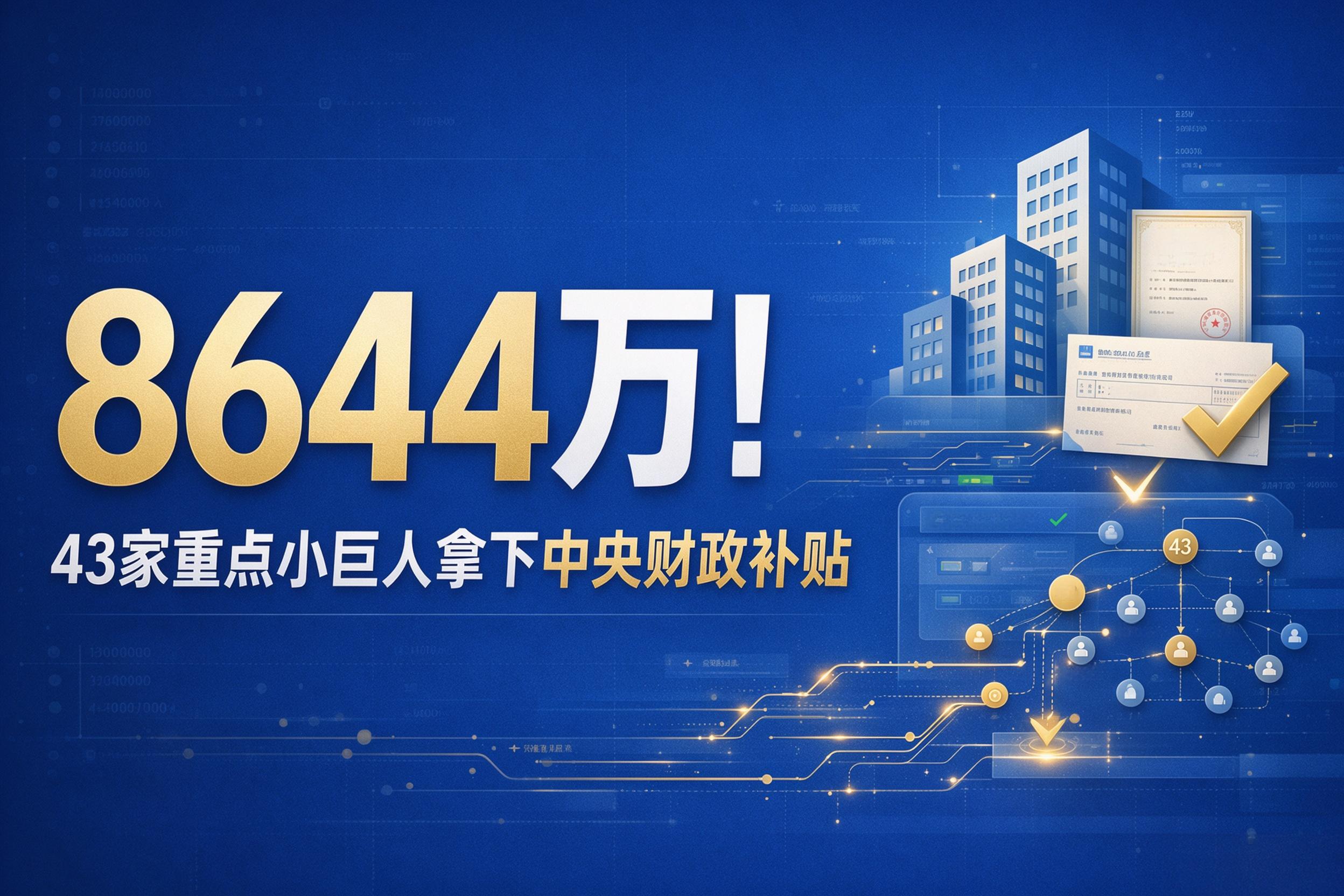 重点小巨人，三新一强，中佳集团